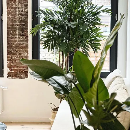 New Spacious Boutique Apartment's In The Center Of * أنتويرب